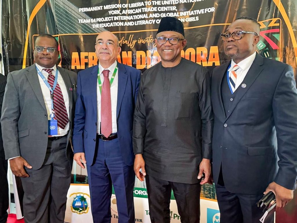 Obi: Africa’s greatest challenge is leadership, urges diaspora to drive good governance and development
