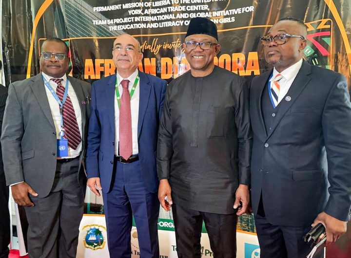 Obi: Africa’s greatest challenge is leadership, urges diaspora to drive good governance and development
