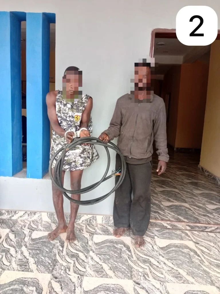 Ogun police arrest 16 suspects, recover stolen vehicles, diesel, other exhibits 2 Ogun police arrest 16 suspects, recover stolen vehicles, diesel, other exhibits
