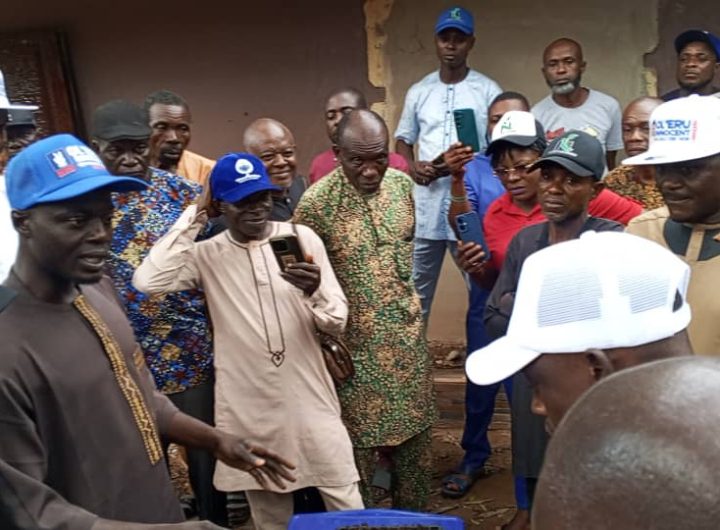 Ol'eru Adoga inaugurates onion growers alliance, establishes 6 trial fields in Igedeland