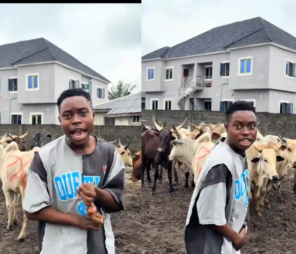 'You're just a user': Peller blasts Davido, says wedding will shock celebrities who snubbed his Invite 3 Peller unveils 12 cows ahead of wedding to Jarvis, warns gate crashers as DSS, police secure venue