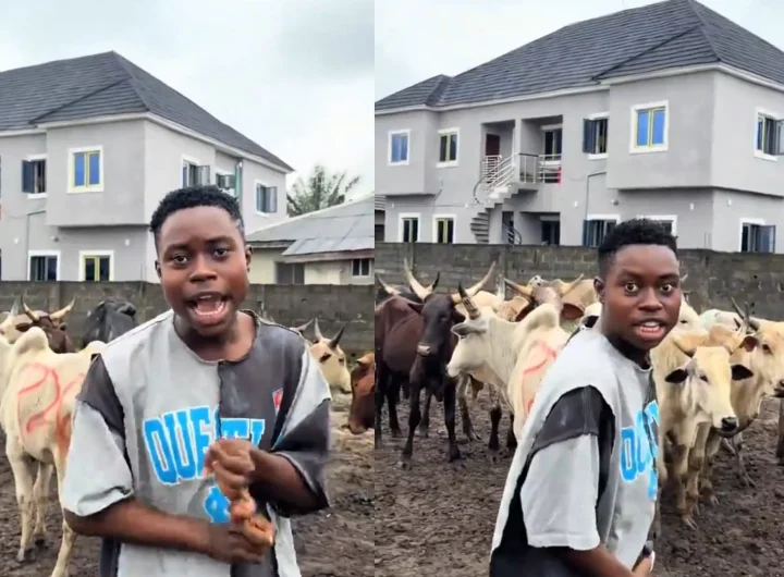 Peller unveils 12 cows ahead of wedding to Jarvis, warns gate crashers as DSS, police secure venue