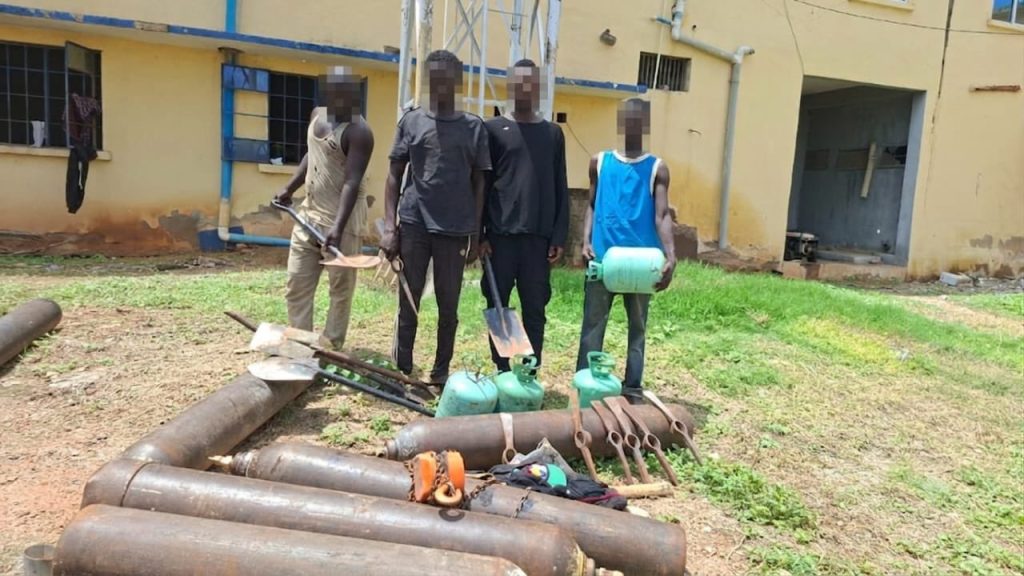 Police arrest 7 suspects, recover 285 vandalized pipelines in Adamawa Nigeria Police Force, through operatives of the IGP Special Task Force on Petroleum and Illegal Bunkering and the IGP X-Squad, has successfully dismantled a pipeline vandalism network operating in Adamawa State, leading to the arrest of seven suspects and the recovery of 285 pieces of vandalized Nigerian National Petroleum Company (NNPC) pipelines. The Force spokesman, CSP Anietie Iniedu, confirmed this in a statement issued on Tuesday in Abuja. CSP Iniedu said: "Acting on credible intelligence received on 9th July 2026, operatives intercepted a J5 bus fully loaded with suspected vandalized NNPC pipelines along the Yola–Numan Road in Adamawa State. "The vehicle was driven by one Paul Joshua and accompanied by one Paul Ishiyaku. He said the operation subsequently led to the arrest of seven suspects identified as Haruna Usman (28), Haruna Muhammed Sule (30), Dabus Peter (38), Ahmad Adamu (19), Sadik Ibrahim (31), Paul Joshua (49), and Paul Ishiyaku (48). Further searches conducted during the operation resulted in the recovery of two hundred and eighty-five (285) pieces of vandalized pipelines, six (6) gas cylinders, diggers, shovels, one J5 bus with registration number KRD 767 XC, blue in colour, and other equipment suspected to have been used in the commission of the crime. All recovered exhibits have been secured as evidence. He said the suspects are currently in police custody, while investigations are ongoing to determine the full scope of the criminal enterprise and identify other individuals connected to the vandalism network. He said: "the Nigeria Police Force under the administration of the Inspector-General of Police, IGP Olatunji Rilwan Disu, psc (+), NPM, reiterates its commitment to the protection of critical national infrastructure and the fight against economic sabotage. Members of the public are encouraged to remain vigilant and continue providing timely and credible information to support ongoing efforts aimed at combating crime and safeguarding national assets across the country.