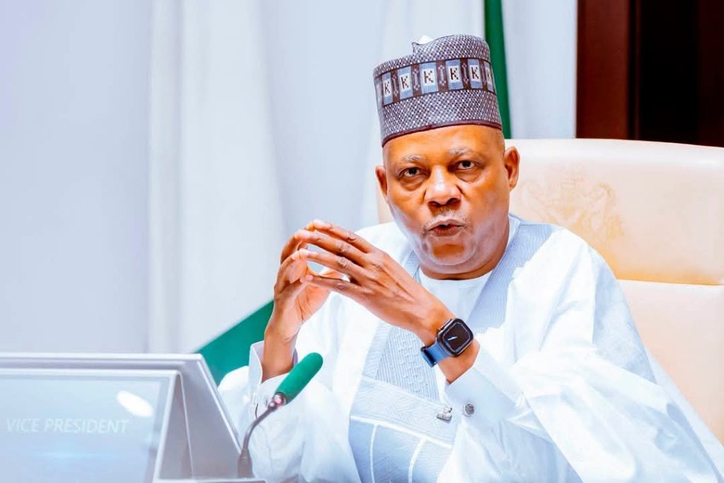 VP Kashim Shettima