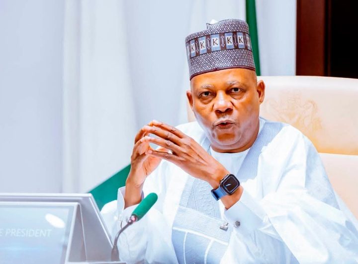 VP Kashim Shettima