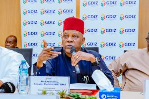 Shettima: It's time Africa takes its rightful place in global trade