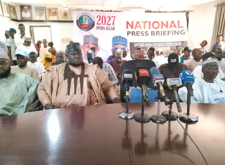 Southern Borno group endorses Ali Abdullahi Isa as Gubio’s running mate for 2027 governorship race