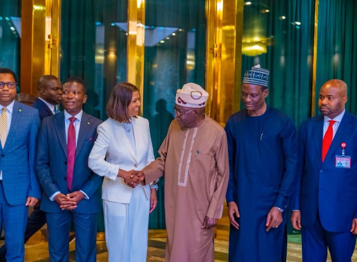 Tinubu to Deloitte Africa Our economy is on steady grow
