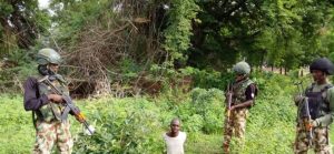 Troops arrest another foreign terrorist fighter, illegal migrant in Borno