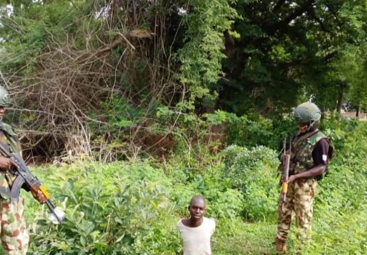 Troops arrest another foreign terrorist fighter, illegal migrant in Borno