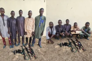 Troops arrest 5 suspected kidnappers, recover arms in Yobe