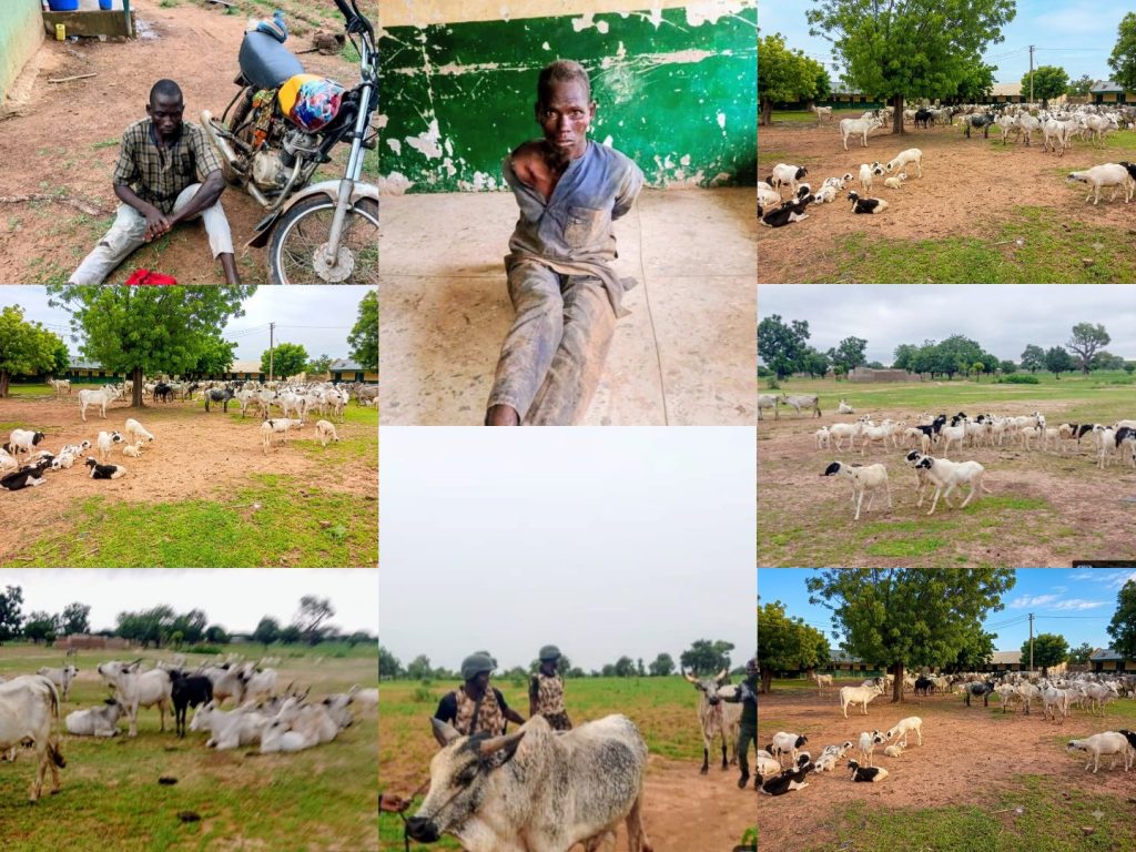 Troops foil bandits attack, recover 97 cattle, 50 sheep in Kano
