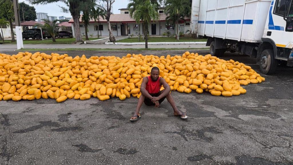 Troops intercept truck loaded with illicit drugs on Lagos Calabar Coastal Road