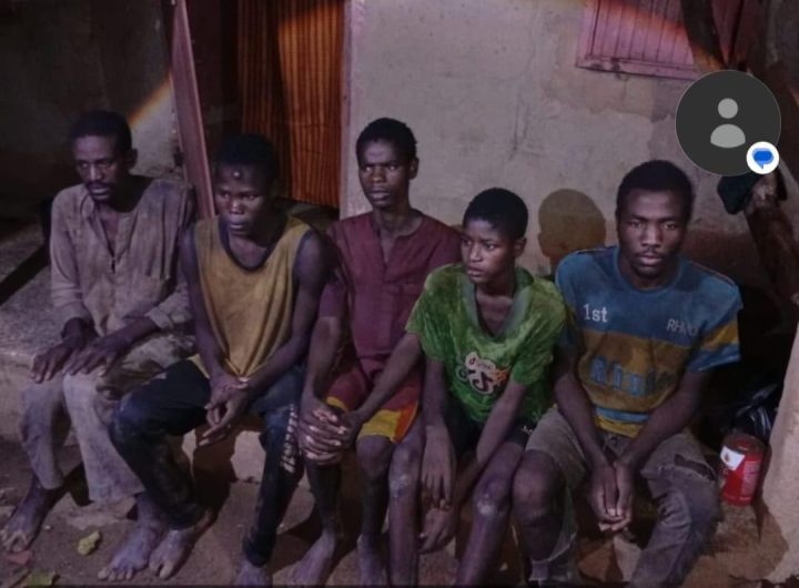 Troops rescue 13 kidnap victims, foil terrorist operations in Zamfara