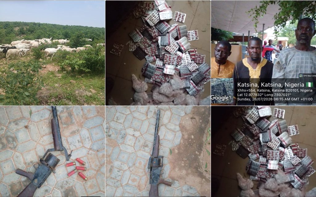 Troops rescue kidnap victim, arrest suspects, recover 126 rustled livestock in Katsina