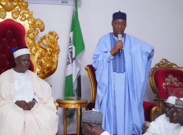 Zulum approves employment for 100 Biu graduates to curb thuggery