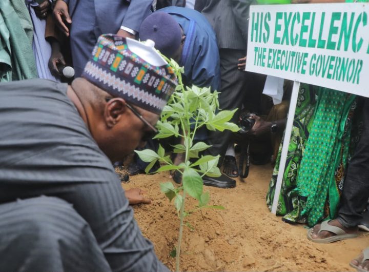 Zulum rolls out free gas cylinders for 23,700 teachers,