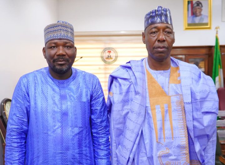 Zulum’s STA, Bundi, wins National Spokesperson Award
