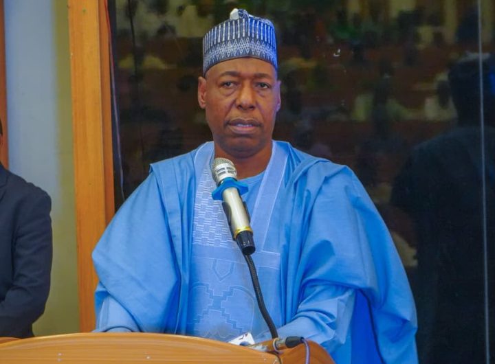 Zulum calls for enforcement of anti-deforestation laws, awards scholarships to 540 council workers
