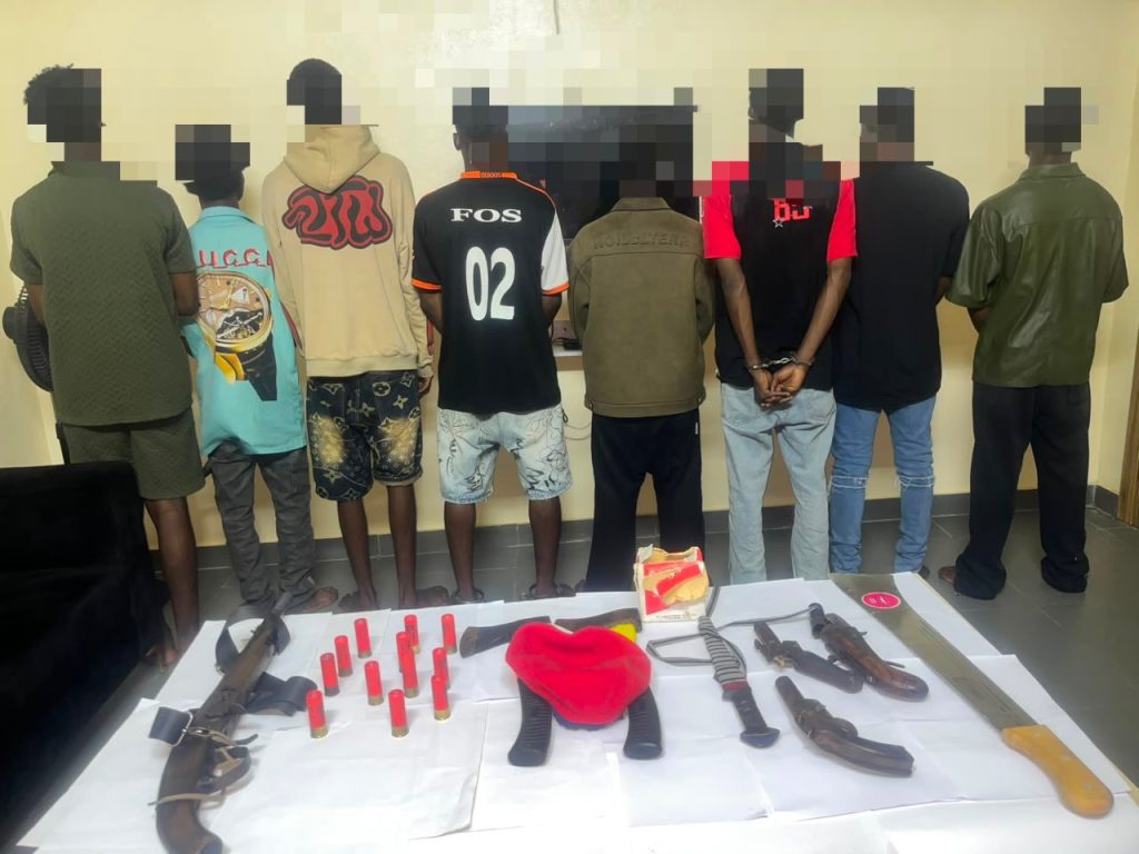 Police foil planned cult attack, arrest 11 LAUTECH students, recover guns, ammunition in Oyo