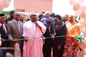 Tinubu: Strong institutions are bedrock of democracy as Wike delivers body of benchers annex