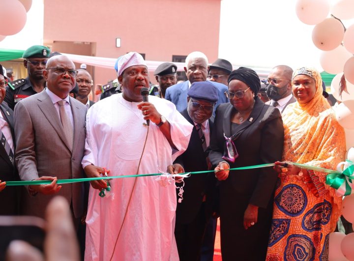 Tinubu: Strong institutions are bedrock of democracy as Wike delivers body of benchers annex