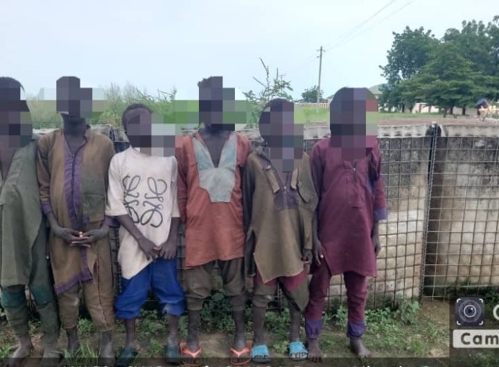 Terrorist surrenders surge 213% as sustained military pressure intensifies in North East – Army