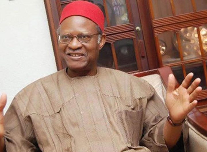 Anyaoku warns against delayed new constitution to manage Nigeria’s diversity