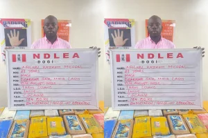 Fleeing celebrity drug kingpin arrested as NDLEA smashes cocaine cartel