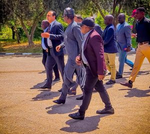 Matawalle leads Nigeria delegation to Egypt 1 1