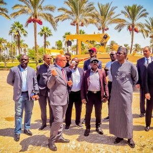 Matawalle leads Nigeria delegation to Egypt