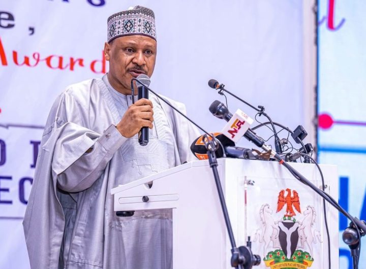 2027 elections: FG vows to ensure peaceful, credible polls