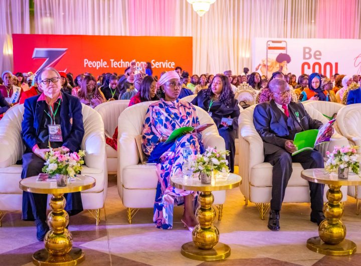 NEMA DG attends 2nd National Gender Inclusion Conference