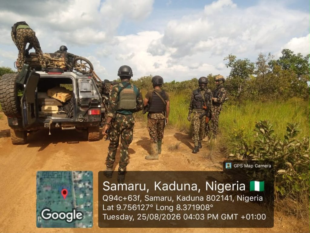 Troops rescue kidnapped victims, recover 94 rustled cattle in Kaduna, Kano