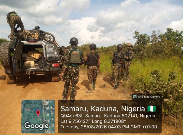 Troops rescue kidnapped victims, recover 94 rustled cattle in Kaduna, Kano