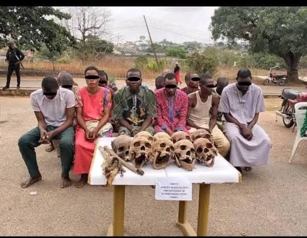 Oyo police arrest 10 suspected human parts traffickers, recover human heart, skull