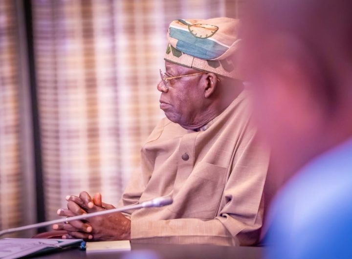 ‘Nigeria needs you’, President Bola Tinubu urges diaspora to invest at home