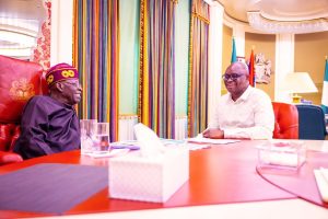President Bola Tinubu appoints Fayose as REA chairman