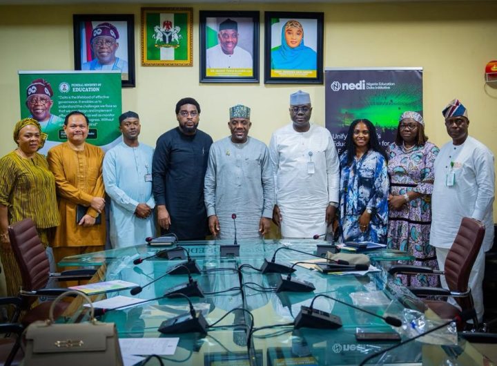 Tinubu has delivered almost 100% of campaign promises, Nigeria is back says Alausa