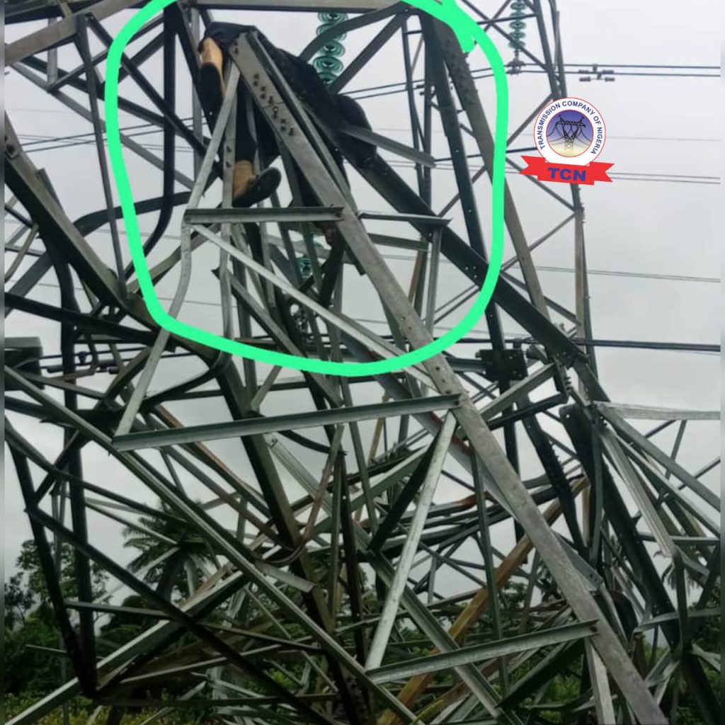 Suspected vandal dies after collapsed TCN transmission tower in Delta