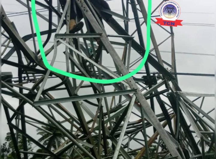 Suspected vandal dies after collapsed TCN transmission tower in Delta