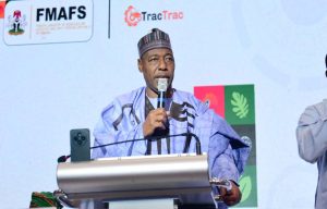 Zulum calls for a shift from tractor ownership to modern agricultural services
