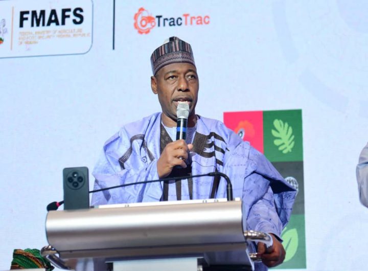 Zulum calls for a shift from tractor ownership to modern agricultural services
