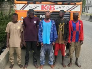Police arrest 5 telecom vandals, recover truckload of stolen iron rods