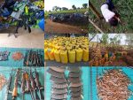 Troops dislodge Boko Haram/ISWAP camp in Adamawa, neutralize several terrorists
