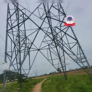 TCN, police arrest suspect over vandalism of 6 towers along Yola–Jalingo 330kV transmission line