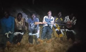 Boko Haram terrorist surrenders with weapons as troops arrest 6 kidnappers in Adamawa