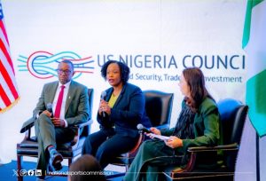 Dikko pushes sports as major economic growth driver at US-Nigeria Council in New York