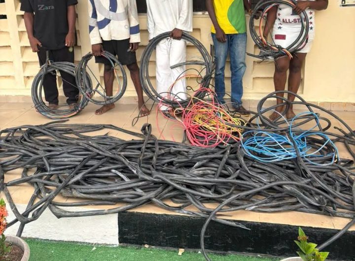 FCT police arrest 10 suspected vandals, recover stolen armoured cables, solar street light