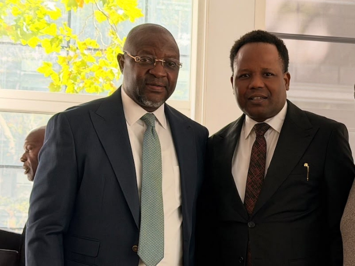 Femi Joshua calls for increased diaspora investment at London Summit